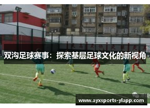 双沟足球赛事：探索基层足球文化的新视角