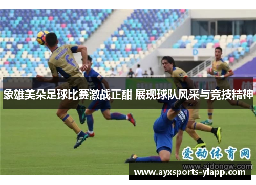 象雄美朵足球比赛激战正酣 展现球队风采与竞技精神